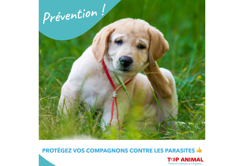 PREVENTION